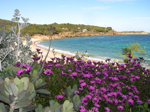 la vue du balcon